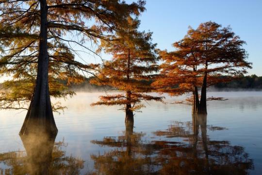 Photo: Sequoyah State Park