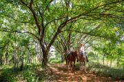 Photo: Foss State Park