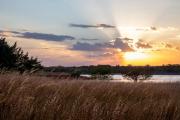 Photo: Foss State Park