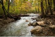 Photo: Beavers Bend State Park