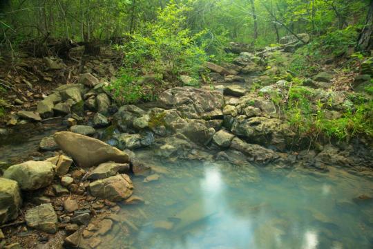 Photo: Talimena State Park