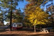 Photo: Talimena State Park
