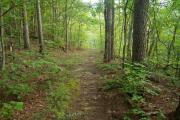 Photo: Talimena State Park