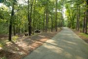 Photo: Talimena State Park