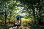Photo: Lake Eufaula State Park